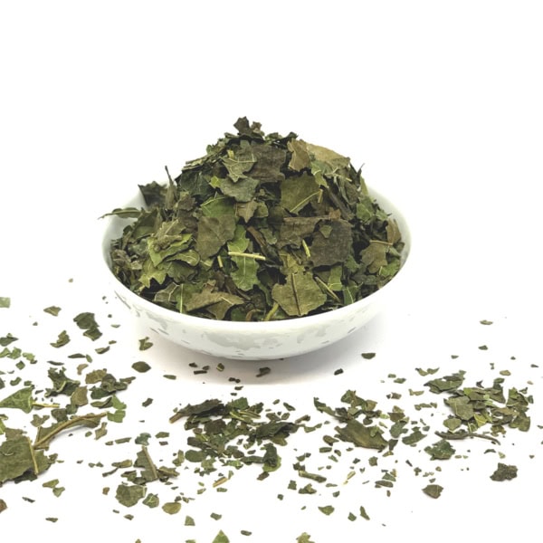 Mûrier | Feuilles coupées Mûrier | Feuilles coupées