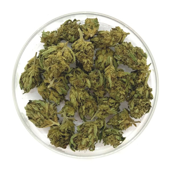 LEMON HAZE Mini Fleurs CBD LEMON HAZE Mini Fleurs CBD
