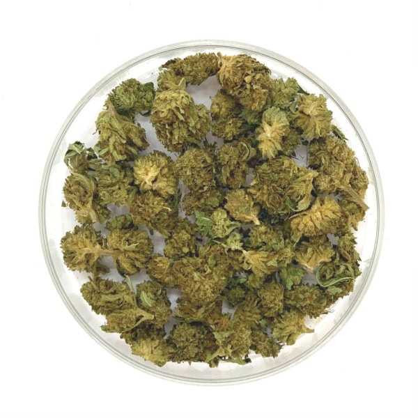 SHIVA SKUNK Mini Fleurs CBD SHIVA SKUNK Mini Fleurs CBD