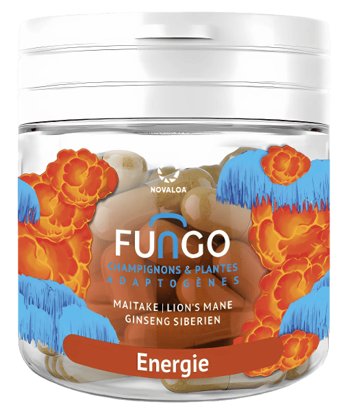 Gélules Énergie | Maitake, Lion's Mane et Ginseng Sibérien | Champignons & plantes adaptogènes Gélules Énergie | Maitake, Lion's Mane et Ginseng Sibérien | Champignons & plantes adaptogènes