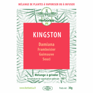 Substitut de tabac | Mélange de plantes à vaporiser 100% naturelles - “KINGSTON”Substitut de tabac | Mélange de plantes à vaporiser 100% naturelles - “KINGSTON” Substitut de tabac | Mélange de plantes à vaporiser 100% naturelles - “KINGSTON”