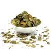 Abricotier d'argent - Ginkgo biloba | Feuilles coupées Abricotier d'argent - Ginkgo biloba | Feuilles coupées