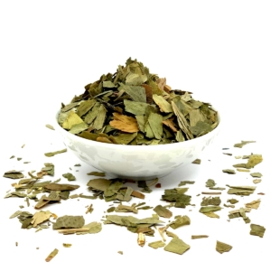 Abricotier d'argent - Ginkgo biloba | Feuilles coupées Abricotier d'argent - Ginkgo biloba | Feuilles coupées