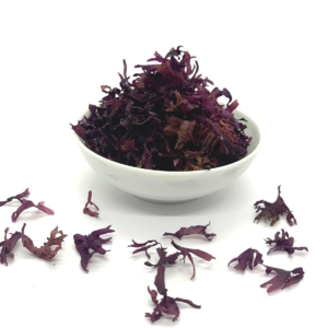 Carragaheen - Chondrus Crispus BIO | Algue coupée Carragaheen - Chondrus Crispus BIO | Algue coupée