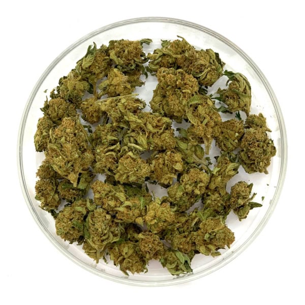 BLUEBERRY Mini Fleurs CBD BLUEBERRY Mini Fleurs CBD