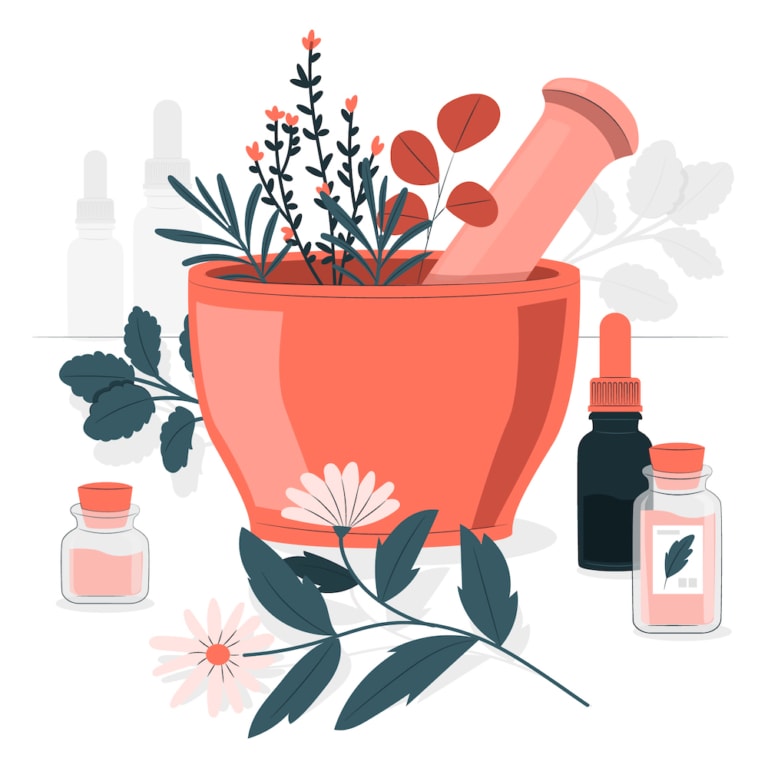 Teintures mères: guide complet et bienfaits pour votre santé 6 Teintures mères | Extraits de plantes - Tout savoir
