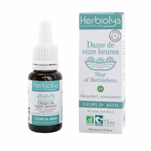 Fleur de Bach N°29 - Dame de onze heure (Star of Bethlehem) BIO - 15ml Fleur de Bach N°29 - Dame de onze heure (Star of Bethlehem) BIO - 15ml