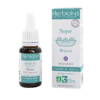 Fleur de Bach N°33 - Noyer (Walnut) BIO - 15ml Fleur de Bach N°33 - Noyer (Walnut) BIO - 15ml