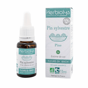 Fleur de Bach N°24 - Pin Sylvestre (Pine) BIO - 15ml Fleur de Bach N°24 - Pin Sylvestre (Pine) BIO - 15ml