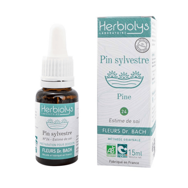 Fleur de Bach N°24 - Pin Sylvestre (Pine) BIO - 15ml Fleur de Bach N°24 - Pin Sylvestre (Pine) BIO - 15ml