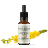 Fleur de Bach N°1 - Agrimony (Aigremoine) BIO Fleur de Bach N°1 - Agrimony (Aigremoine) BIO