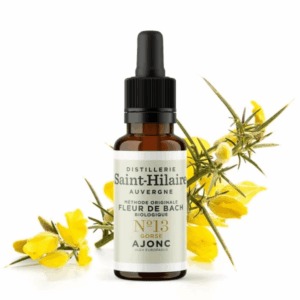 Fleur de Bach N°13 - Ajonc (Gorse) BIO Fleur de Bach N°13 - Ajonc (Gorse) BIO