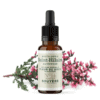 Fleur de Bach N°14 - Bruyère (Heather) BIO Fleur de Bach N°14 - Bruyère (Heather) BIO