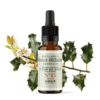 Fleur de Bach N°15 - Houx (Holly) BIO Fleur de Bach N°15 - Houx (Holly) BIO