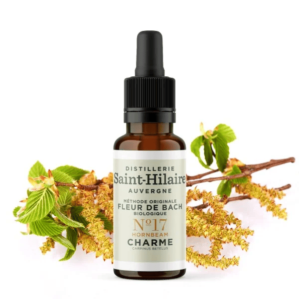 Fleur de Bach N°17 - Charme (Hornbeam) BIO Fleur de Bach N°17 - Charme (Hornbeam) BIO