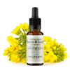 Fleur de Bach N°21 - Moutarde (Mustard) BIO Fleur de Bach N°21 - Moutarde (Mustard) BIO