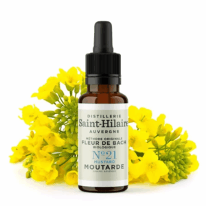 Fleur de Bach N°21 - Moutarde (Mustard) BIO Fleur de Bach N°21 - Moutarde (Mustard) BIO