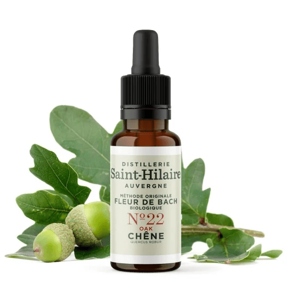 Fleur de Bach N°22 - Chêne (Oak) BIO Fleur de Bach N°22 - Chêne (Oak) BIO