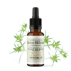 Fleur de Bach N°28 - Gnavelle (Scleranthus) BIO Fleur de Bach N°28 - Gnavelle (Scleranthus) BIO