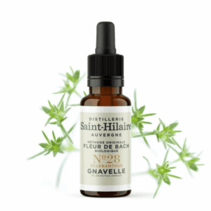 Fleur de Bach N°28 - Gnavelle (Scleranthus) BIO Fleur de Bach N°28 - Gnavelle (Scleranthus) BIO