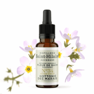 Fleur de Bach N°34 - Hottonie des Marais (Water Violet) BIO Fleur de Bach N°34 - Hottonie des Marais (Water Violet) BIO