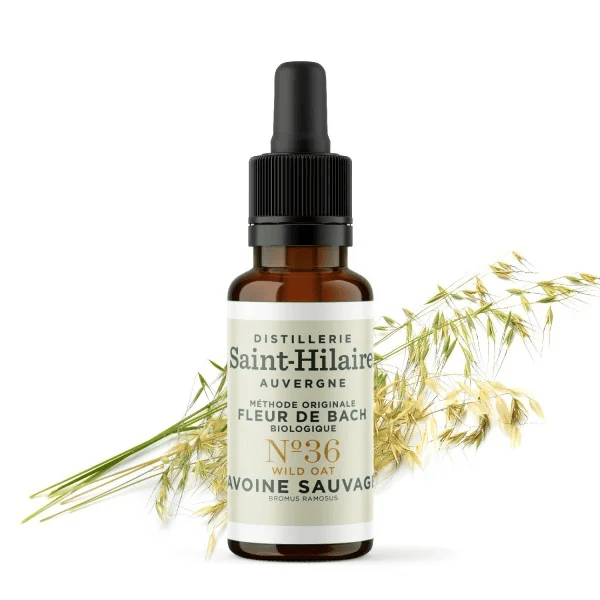 Fleur de Bach N°36 - Avoine Sauvage (Wild Oat) BIO Fleur de Bach N°36 - Avoine Sauvage (Wild Oat) BIO