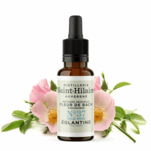 Fleur de Bach N°37 - Églantine (Wild Rose) BIO Fleur de Bach N°37 - Églantine (Wild Rose) BIO
