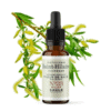 Fleur de Bach N°38 - Saule (Willow) BIO Fleur de Bach N°38 - Saule (Willow) BIO