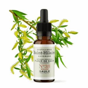 Fleur de Bach N°38 - Saule (Willow) BIO Fleur de Bach N°38 - Saule (Willow) BIO