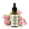 Fleur de Bach N°4 - Centaurée (Centaury) BIO Fleur de Bach N°4 - Centaurée (Centaury) BIO
