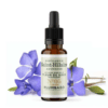 Fleur de Bach N°5 - Cerato (Plumbago) BIO Fleur de Bach N°5 - Cerato (Plumbago) BIO