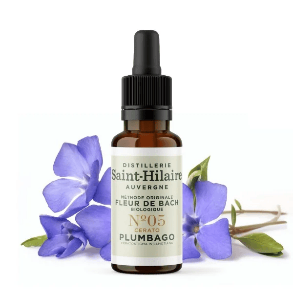 Fleur de Bach N°5 - Cerato (Plumbago) BIO Fleur de Bach N°5 - Cerato (Plumbago) BIO