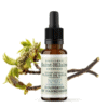 Fleur de Bach N°7 - Bourgeon de Marronnier (Chestnut Bud) BIO Fleur de Bach N°7 - Bourgeon de Marronnier (Chestnut Bud) BIO