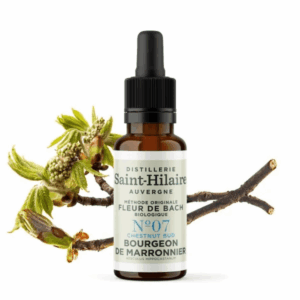 Fleur de Bach N°7 - Bourgeon de Marronnier (Chestnut Bud) BIO Fleur de Bach N°7 - Bourgeon de Marronnier (Chestnut Bud) BIO