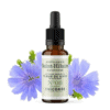 Fleur de Bach N°8 - Chicorée (Chicory) BIO Fleur de Bach N°8 - Chicorée (Chicory) BIO