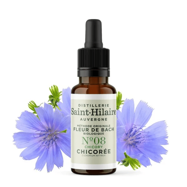 Fleur de Bach N°8 - Chicorée (Chicory) BIO Fleur de Bach N°8 - Chicorée (Chicory) BIO