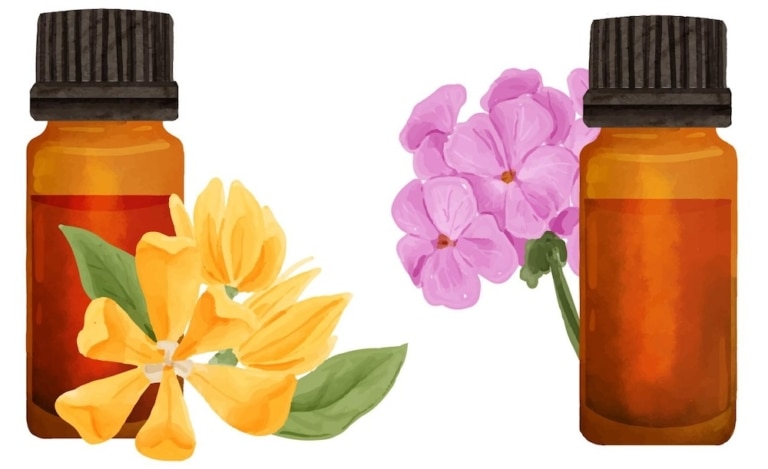 Comprendre les Fleurs de Bach : bienfaits et utilisations 1 Comprendre les Fleurs de Bach : bienfaits et utilisations 1