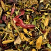 Tisane “Happiness” | Joie de vivre Tisane “Happiness” | Joie de vivre
