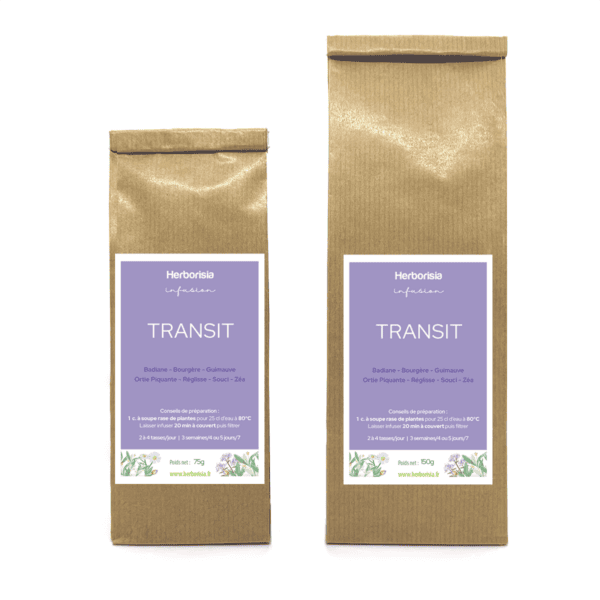 Tisane Transit Tisane Transit