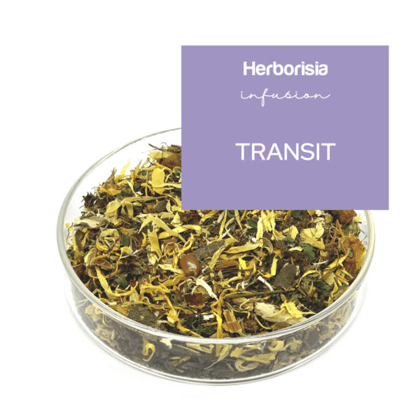 Tisane Transit Tisane Transit