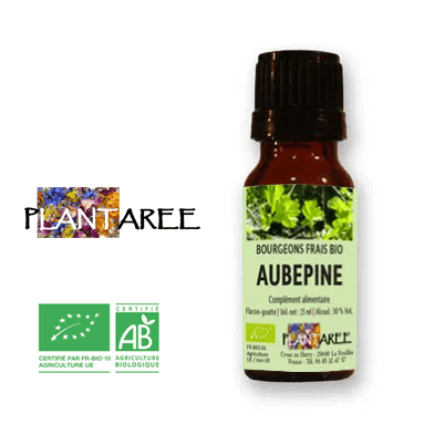 Aubépine BIO - Jeunes pousses - Gemmothérapie Aubépine BIO - Jeunes pousses - Gemmothérapie