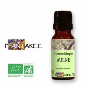 Aulne BIO - Jeunes pousses - Gemmothérapie Aulne BIO - Jeunes pousses - Gemmothérapie