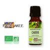 Cassis BIO - Jeunes pousses - Gemmothérapie