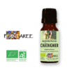 Châtaigner BIO - Jeunes pousses - Gemmothérapie