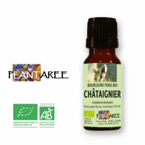 Châtaigner BIO - Jeunes pousses - Gemmothérapie Châtaigner BIO - Jeunes pousses - Gemmothérapie