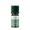 Huile Essentielle - Estragon BIO 5ml Huile Essentielle - Estragon BIO 5ml