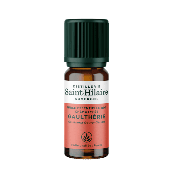 Huile Essentielle - Gaulthérie Odorante BIO 10ml Huile Essentielle - Gaulthérie Odorante BIO 10ml