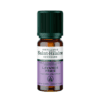 Huile Essentielle - Lavande Vraie BIO 10ml Huile Essentielle - Lavande Vraie BIO 10ml