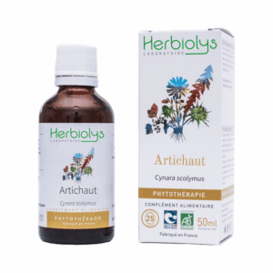 Teinture mère | Extrait de plante - Artichaut BIO - Herbiolys Teinture mère | Extrait de plante - Artichaut BIO - Herbiolys