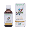 Teinture mère | Extrait de plante - Camomille matricaire BIO - Herbiolys Teinture mère | Extrait de plante - Camomille matricaire BIO - Herbiolys